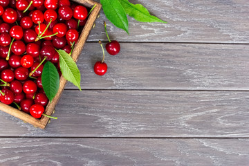 ripe cherry berries in a wooden box close-up view from above. background with fresh cherry berries and a copy of the space. cherry lay flat.