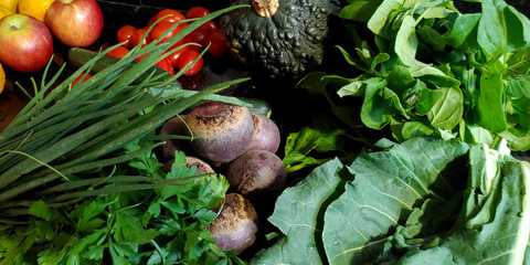 A small variety of vegetables fresh from the organic fair.
