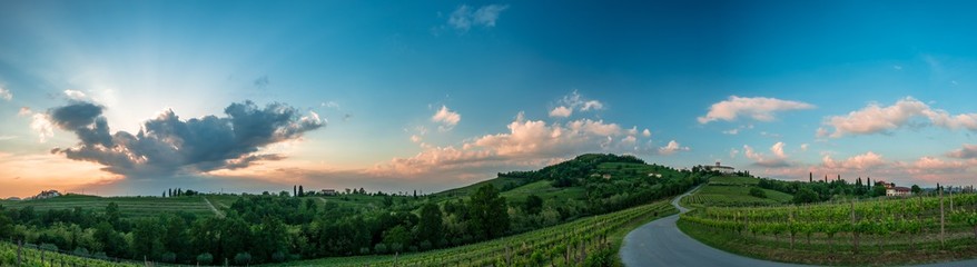 Spring stormy sunset in the vineyards of Collio Friulano, Friuli-Venezia Giulia, Italy