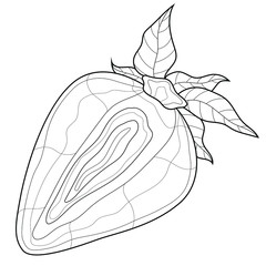 Strawberry. 
Berry.Coloring book antistress for children and adults. Zen-tangle style.Black and white drawing