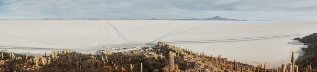 Pano of sun rise shot of captus and the Uyuni salar desert. South of Bolivia.