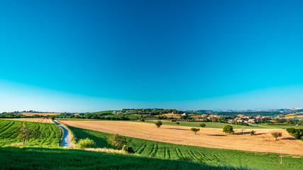 Beautiful sunrise in the countryside of Marche in a summer morning