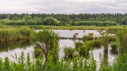 lake in the woods