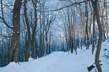 Ośnieżony górski szlak - mroźna zima © art3emis