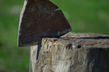 Head of an axe in a wood trunk