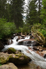 cascata ruscello acqua cascata fiume sorgente acqua fresca bere acqua 