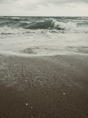 Ocean Shore where the waves crash