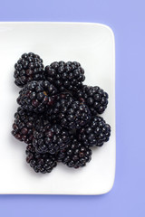 blackberry on a white background