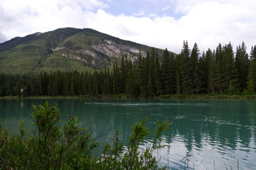 Bow River on a Cloudy Morning