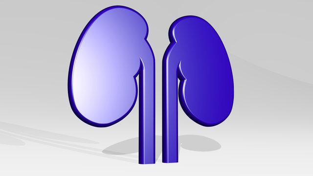 lungs 3D icon casting shadow - 3D illustration for human and anatomy