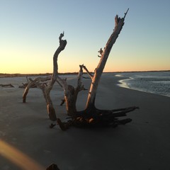 sunset on the beach