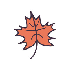 autumn leaf line and fill style icon vector design