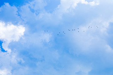 Beautiful blue sky background with tiny clouds.