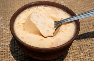 Curd or Dahi (Yogurt) in an Earthen Bowl with Spoon and Selective Focus