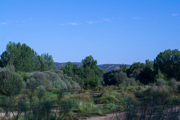 widok g&oacute;ry zieleń drzewa natura