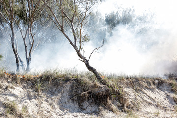Australia bushfires in summer fire season