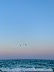 sunset with beautiful blue sky on the beach