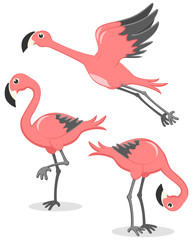 Set of pink flamingos in different poses. Flamingo flies, stands and leans against
