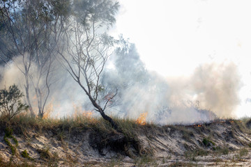 Fototapeta premium Australia bushfires in summer fire season