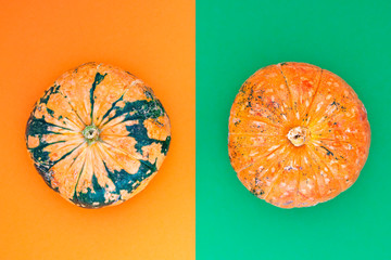 Pumpkin vs Pumpkin. 