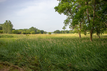 Green Field and Clear Sky