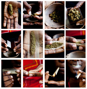 Black man rolling marijuana cigarette