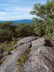 Fototapeta na wymiar Summer days on the Mountains. This photo was taken on Crotched Mountain in Francestown New Hampshire, in the distance is North Pack and Pack Monadnock.