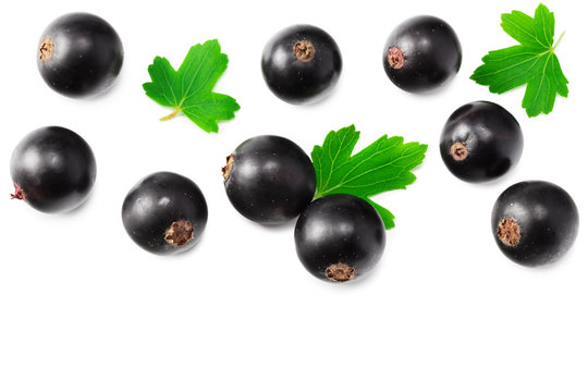 black currant with green leaf isolated on white background. top view