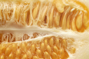 melon in a cut close-up. melon seed texture