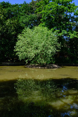 Laurel Farm Pond, Totteridge Green in London, UK.