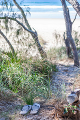 A pathway to the beach