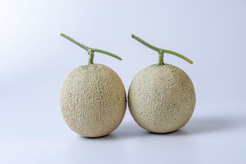 夏の果物メロン