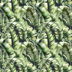Aquarel donker naadloos patroon met tropische bananenbladeren. Handgeschilderde exotische bladeren en takken geïsoleerd op zwarte achtergrond. Floral lente illustratie voor ontwerp, print, stof of achtergrond.