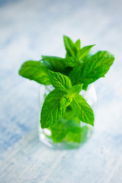 Green mint in glass