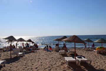 beach with umbrellas