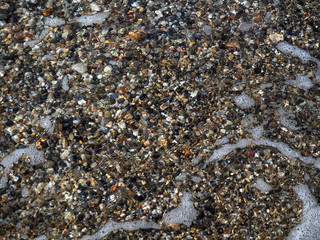 Background with small pebbles. Multi-colored sea pebbles covered with clear water. There is foam on the water.