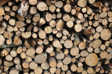 Fototapeta premium Bois coupés