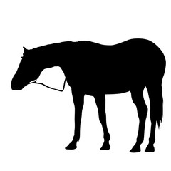 silhouette of black mustang horse vector illustration