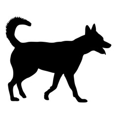 Shepherd dog black silhouette on white background