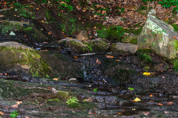 Obraz premium brook stepping its way along high falls trail in the talladega national forest, alabama, usa