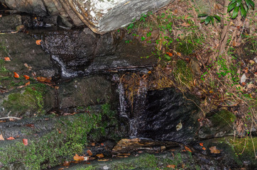 stream cascading along high falls trail in the talladega national forest, alabama, usa