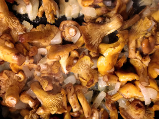 fried chanterelle mushrooms with vegetable oil and onions.