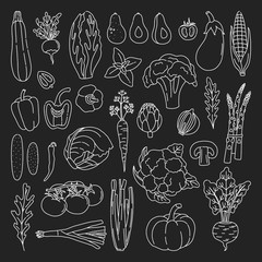 Set of outline vegetables on the black background in doodle style. Bundle of hand drawn fresh vegetarian food, with white contour. Simple art objects. Vector illustration, isolated. 