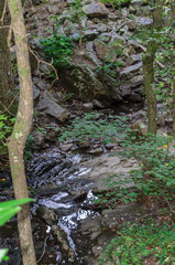 water flowing through the rocks along high falls trail in the talladega national forest, alabama, usa