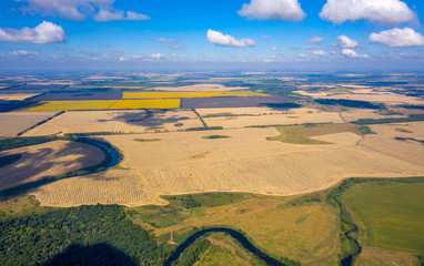 aerial photography of a meandering river flowing through mown fields and forests