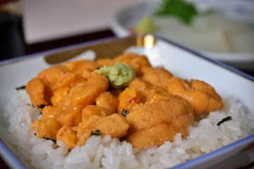 うに丼