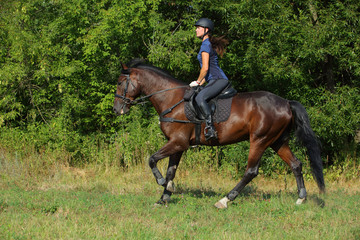 Beauty equestrian girl riding horse in the forest