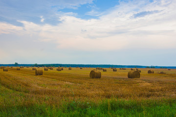 Rural landscape, mown grain field, haystacks rolled into rolls, countryside, agriculture, fields, nature