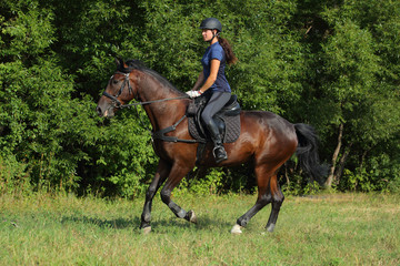 Beauty equestrian girl riding horse in the forest