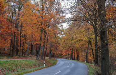 Bundesstraße mit schönen bunten Herbstfarben. 